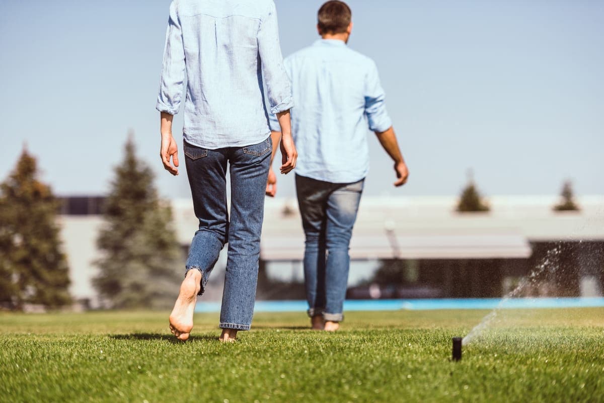 When and How to Water Your Lawn: A Complete Guide