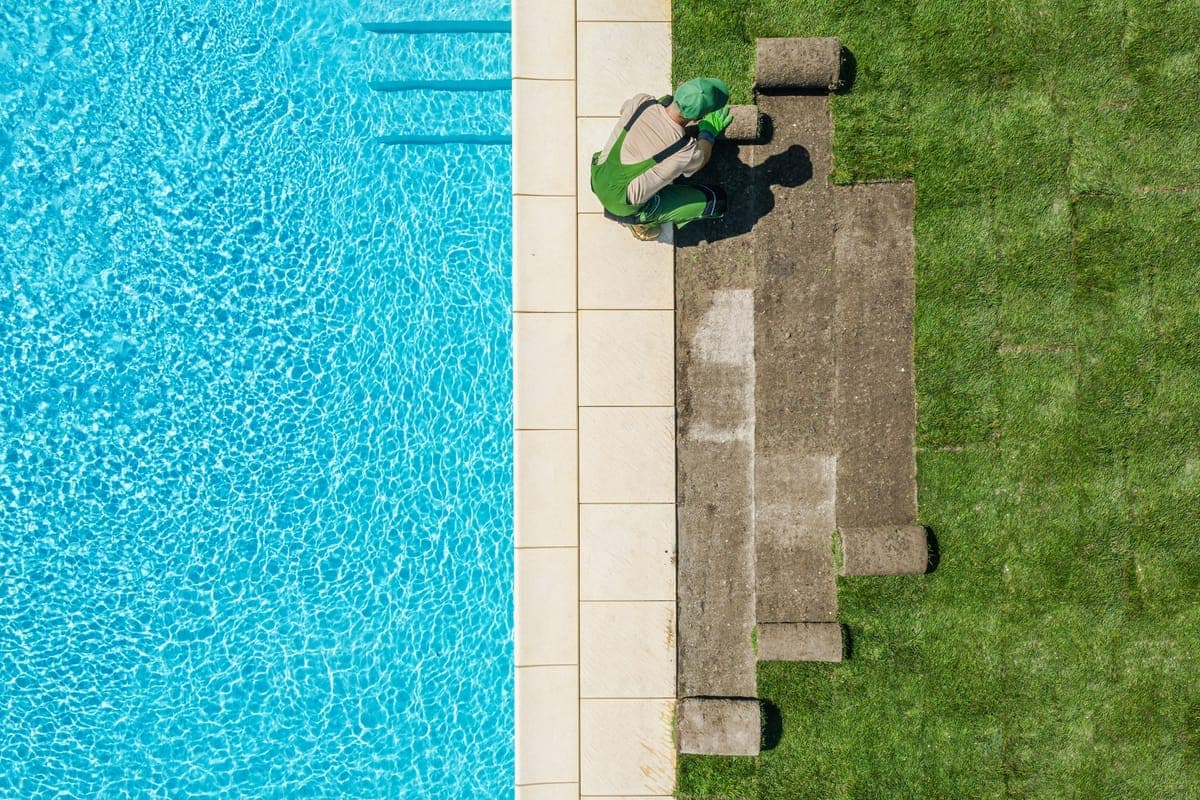 Lawn Transformations project photo